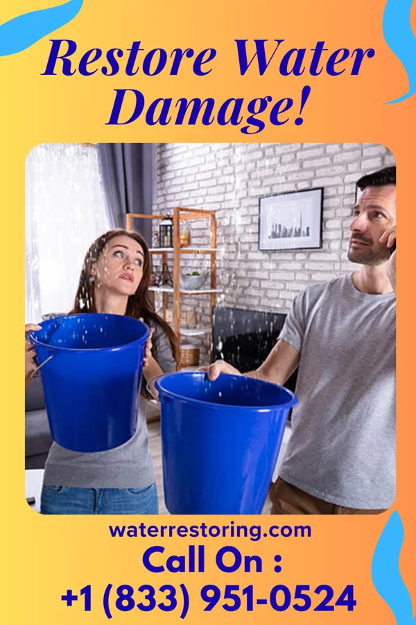 water restoration Ironclad Water Damage Authority West Union