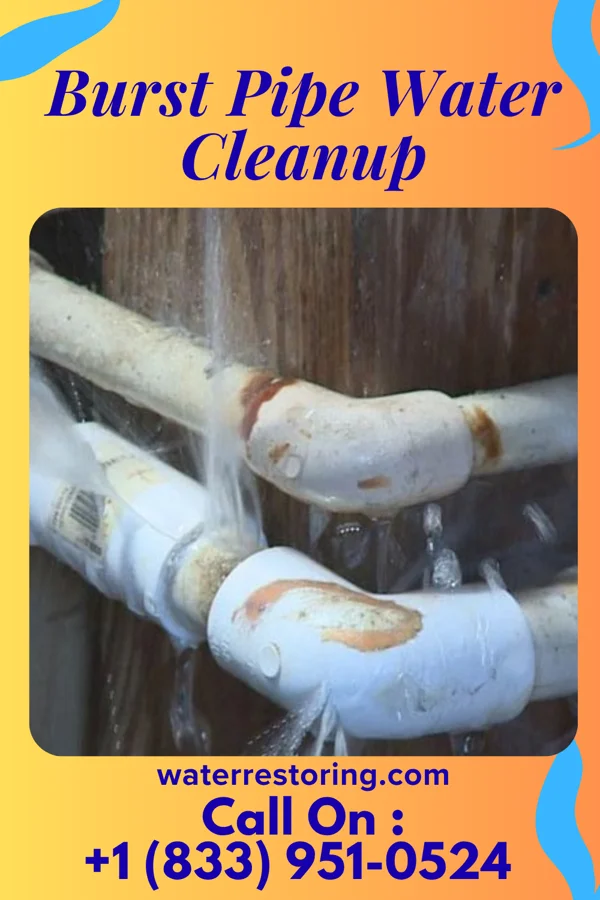 Burst Pipe Water Cleanup in West Union, OH