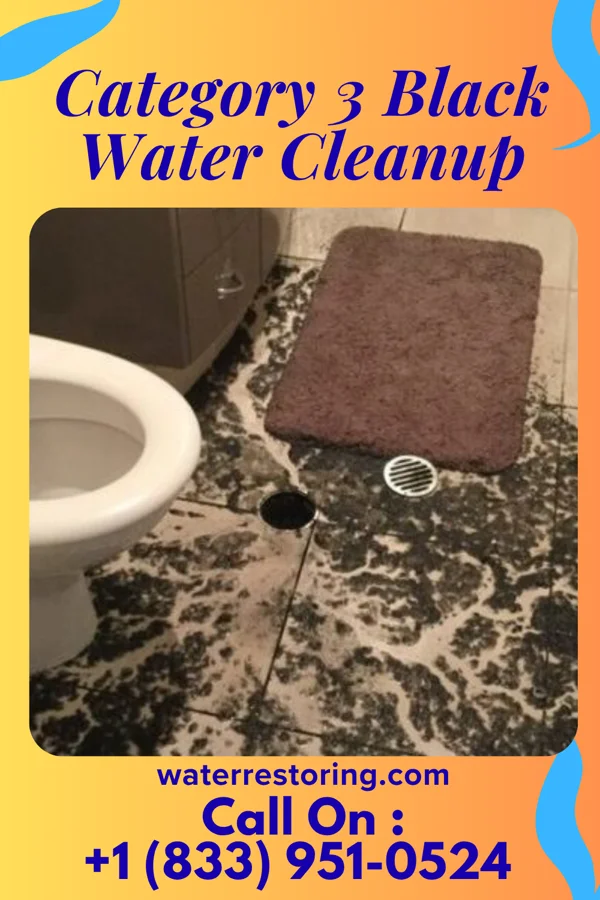Category 3 Black Water Cleanup in West Union, OH