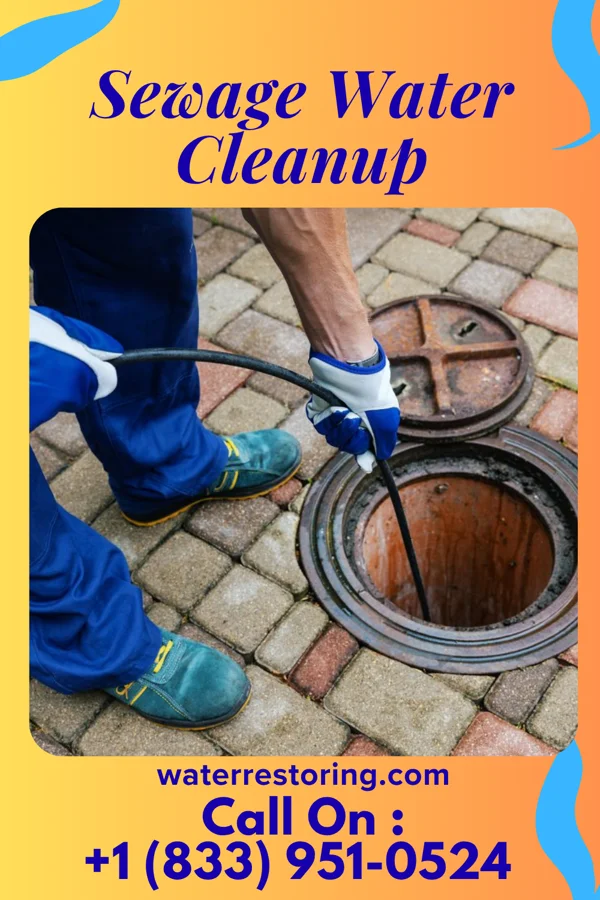 Sewage Water Cleanup in West Union, OH